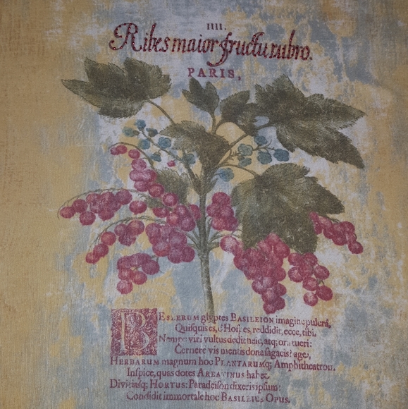 Dress Barn Woman's shirt - Picture 2 of 6